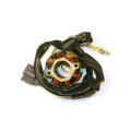 Stator Electrosport avec bobine d'éclairage Kawasaki kx250f/suzuki rm-z250