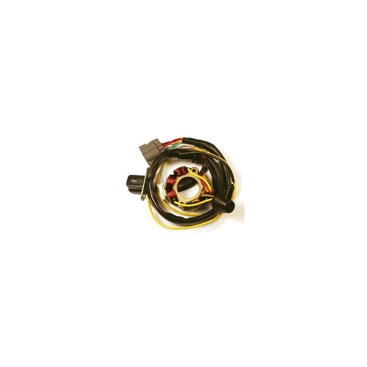 Stator avec bobine d'éclairage Electrosport - Suzuki RM-Z250 ESL730