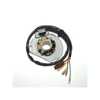 Stator Electrosport KTM 1078120 | Oxmoto