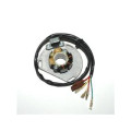 Stator Electrosport KTM 1078120 | Oxmoto