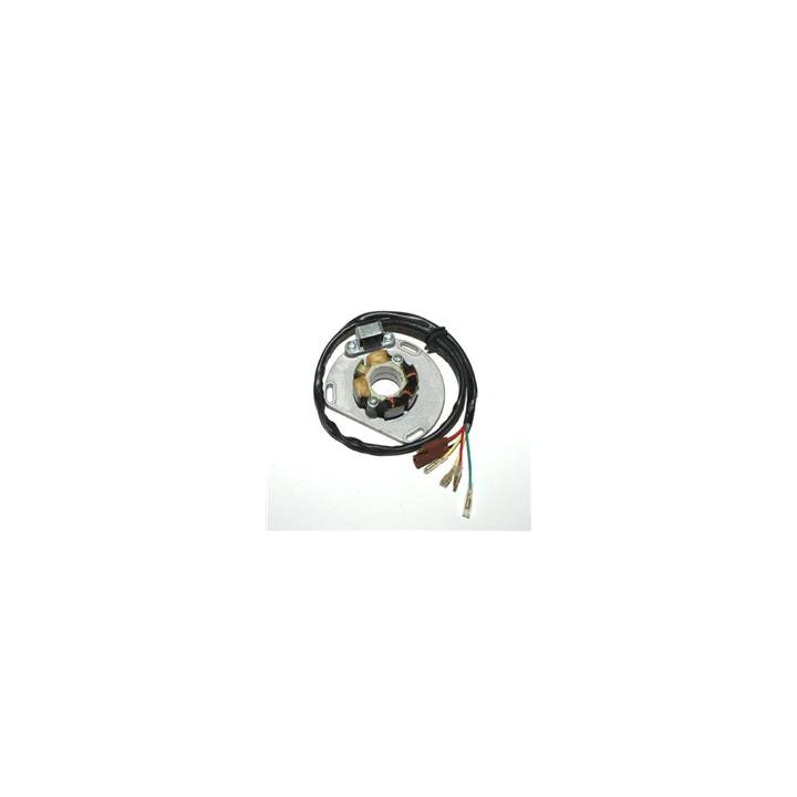 Stator Electrosport KTM 1078120 | Oxmoto