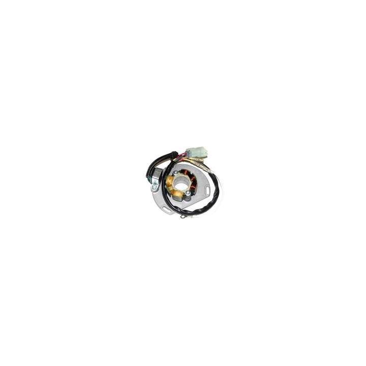 Stator avec bobine d'éclairage Electrosport - KTM | Oxmoto
