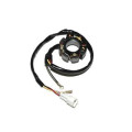 Stator Electrosport KTM 1078121 | Oxmoto