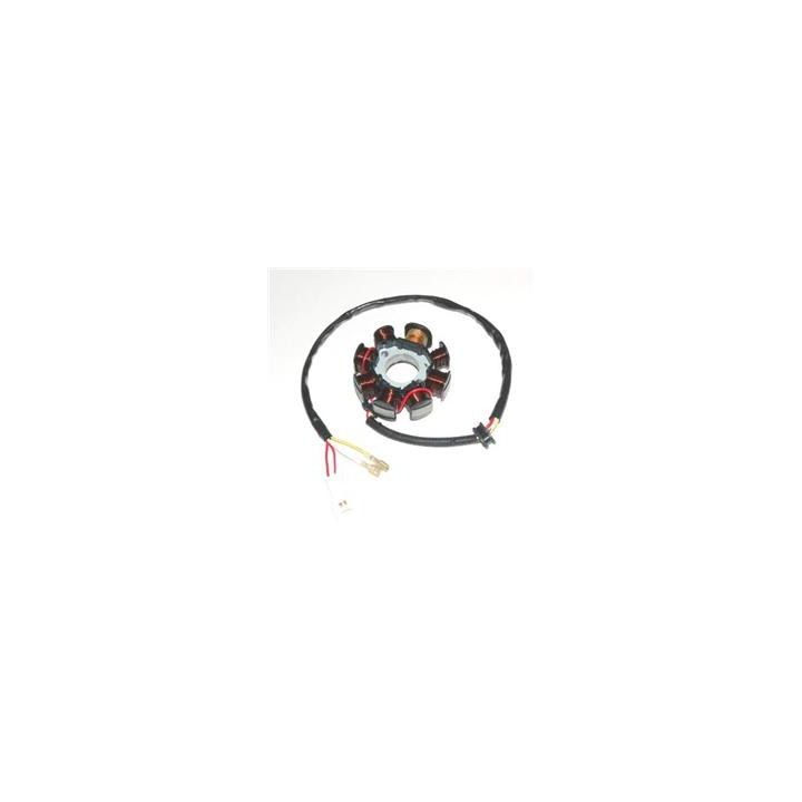 Stator Electrosport - KTM ESC221 | Oxmoto