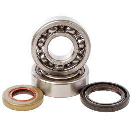 Kit roulements et joints spi de vilebrequin HOT RODS K235