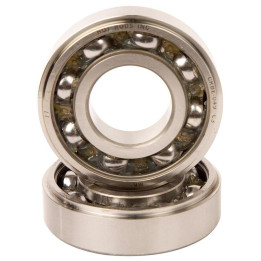 Kit 2 roulements HOT RODS | Oxmoto