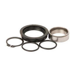 Kit reconditionnement arbre de sortie de boîte HOT RODS Suzuki RM-Z450