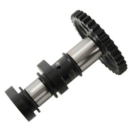 Arbre à cames admission HOT CAMS - Niveau 1 KTM | Oxmoto