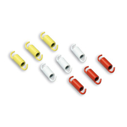 Kit 9 ressorts racing MALOSSI embrayages OEM, FLY et Delta 2915089