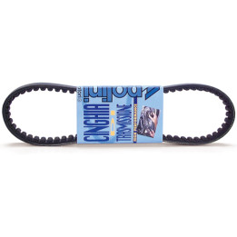Courroie de transmission Polini standard 248.003 | Oxmoto