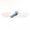 boulon 6.20 rs ch 8