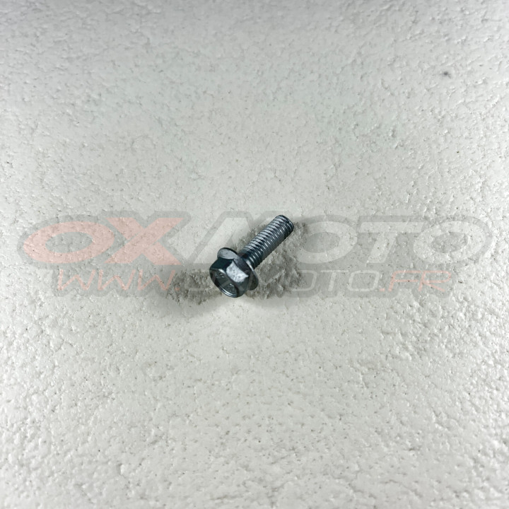Vis 5.16 rs ch 8 bride | Oxmoto