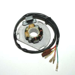 Stator Electrosport KTM 1078120 | Oxmoto