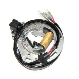 Stator Electrosport Kawasaki kx80/kx100 | Oxmoto