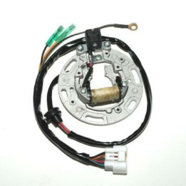 Stator Electrosport Kawasaki kx85/kx100 1077967 | Oxmoto