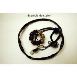 Stator Electrosport Kawasaki kx85/kx100 1077968 | Oxmoto