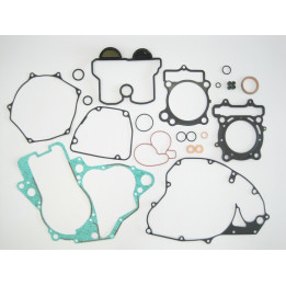 Kit joints moteur complet Tecnium Suzuki rm-z250 1015953