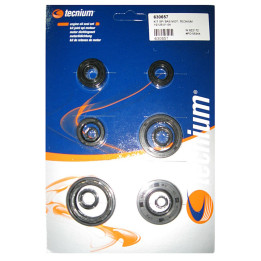 Kit joints spis bas moteur Tecnium Yamaha yz125 1016054