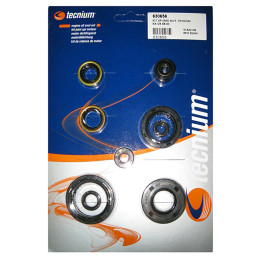 Kit joints spis bas moteur Tecnium Kawasaki kx125 1016044