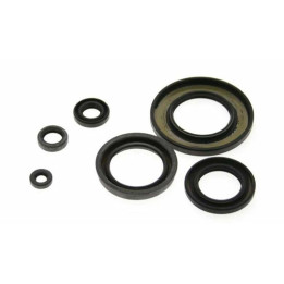 Kit joints spi bas moteur Yamaha yz250f - wr250f | Oxmoto