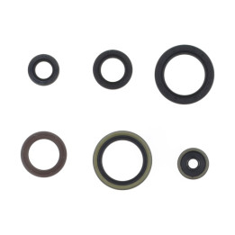 Kit joints spi bas-moteur Centauro ktm/husqvarna 1014759