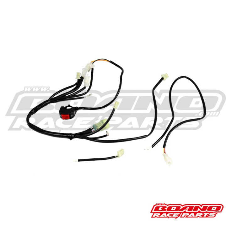 Faisceau simplifié Boano rr usine racing Beta 4T 20-25
