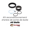 Kit reconditionnement d'arbre de sortie de boite all balls