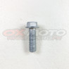 vis 8x25 beta origine
