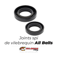 Joints spy de vilebrequin all balls | Oxmoto