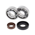 Kit roulements de vilebrequin all balls | Oxmoto