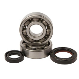 Kit roulements + spis de vilebrequin hot rods cr125r