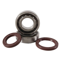 Kit roulements + spis de vilebrequin hot rods KTM sx-f250/350