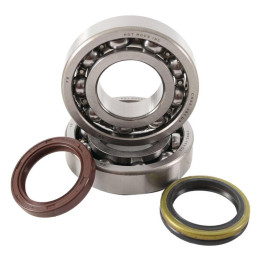 Kit roulements + spis de vilebrequin hot rods Suzuki rm-z250 1006908