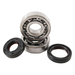Kit roulements + spis de vilebrequin hot rods kx125 1006929