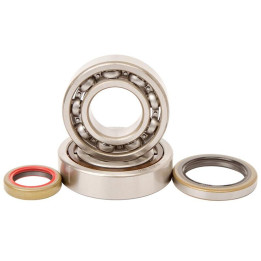 Kit roulements + spis de vilebrequin hot rods KTM 1006903