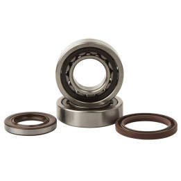Kit roulements + spis de vilebrequin hot rods KTM sx-f250/sx-f350
