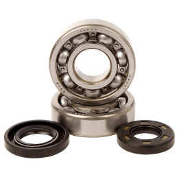Kit roulements + spis de vilebrequin hot rods kx250 1006920