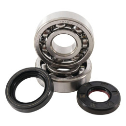 Kit roulements + spis de vilebrequin hot rods yz125 1006873