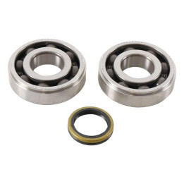 Kit roulements + spis de vilebrequin hot rods rm-z450
