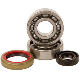 Kit roulements + spis de vilebrequin hot rods KTM sx50 1006911