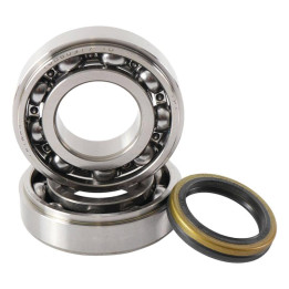 Kit roulements + spis de vilebrequin hot rods Suzuki rm-z250 1006896
