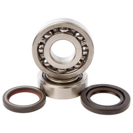 Kit roulements + spis de vilebrequin hot rods trx450r