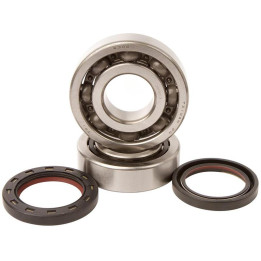 Kit roulements + spis de vilebrequin hot rods crf450r