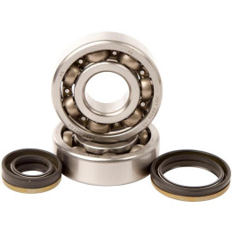 Kit roulements + spis de vilebrequin hot rods rm125 1006869