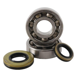 Kit roulements + spis de vilebrequin hot rods rm250 1006887