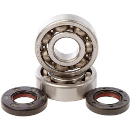 Kit roulements + spis de vilebrequin hot rods yz125 1006888