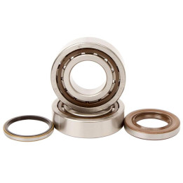 Kit roulements + spis de vilebrequin hot rods KTM 1006904