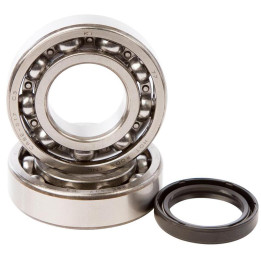 Kit roulements + spis de vilebrequin hot rods kx250f