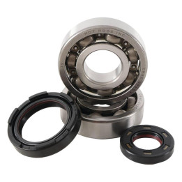 Kit roulements + spis de vilebrequin hot rods yz250 wr250