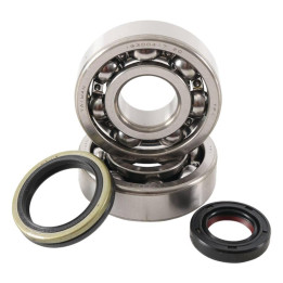 Kit roulements + spis de vilebrequin hot rods rm125 1006885